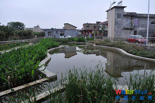 在廣西玉林市玉東新區(qū)茂林鎮(zhèn)金谷村,污水處理設(shè)施不僅改善了環(huán)境,也成了村里一道美麗風景(4月10日攝)。 蒼蠅亂飛的臭水溝不見了,池塘的死水變活了,臟亂差的農(nóng)村變美了……廣西積極推進農(nóng)村環(huán)境連片整治示范工作,讓越來越多的農(nóng)村舊貌換新顏。2012年,廣西共有18個縣500個村完成了示范整治任務(wù),實施污水處理設(shè)施487套、生活垃圾收集轉(zhuǎn)運設(shè)施設(shè)備1.2226萬個(臺、套),受益人口180萬。今年,廣西計劃投資5.25億元,在19個縣(自治縣、市、區(qū))開展農(nóng)村環(huán)境連片整治示范項目,使全廣西農(nóng)村每年可增加生活污水處理能力1350萬噸。(新華社記者 周華 攝)