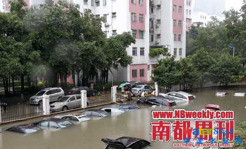 廣州“水戰(zhàn)”:鯉魚(yú)在高樓間水中暢游