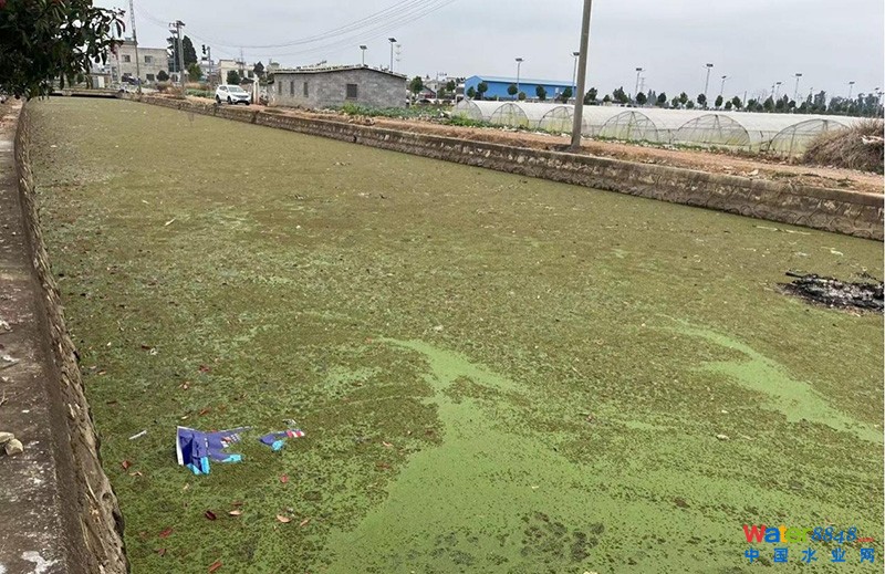 κ׺ǰB(ti)h(hun)־ֹD